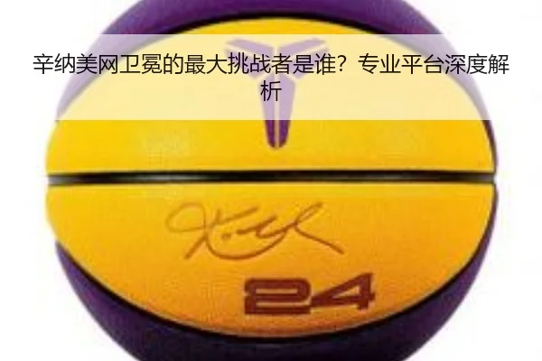 辛纳美网卫冕的最大挑战者是谁？专业平台深度解析